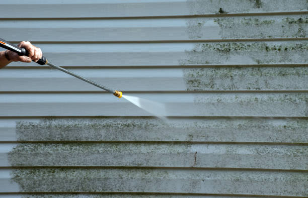 Best Roof Pressure Washing  in Darien, IL