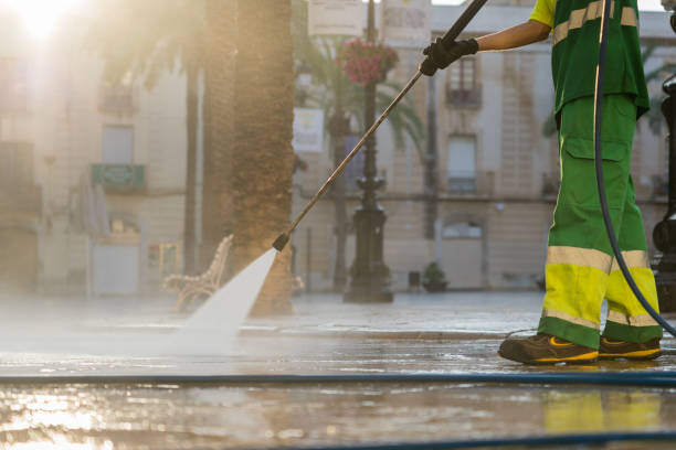 Best Exterior Home Cleaning  in Darien, IL