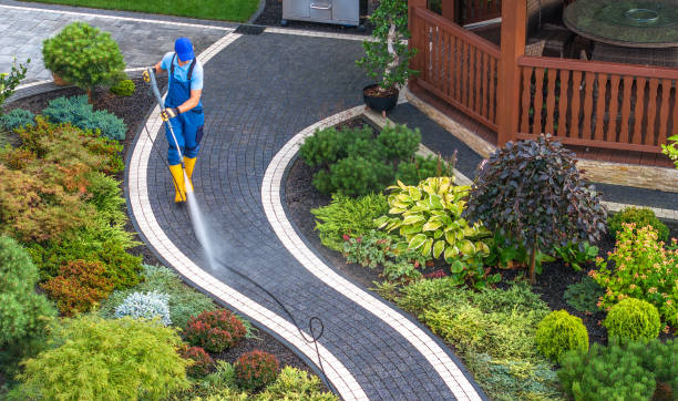 Pressure Washing Contractors in Darien, IL